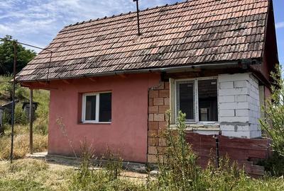 Casă cu 4 camere în Șeulia de Mureș