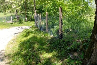 Teren de 7000 mp, în Tănăsești - 8