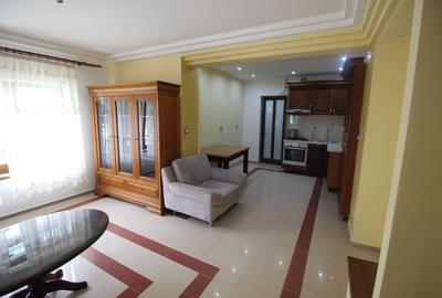 Apartament cu 2 camere decomandat, mobilat în Mehala - 2