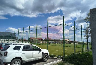 Teren de 12450 mp, în Cernica - 3