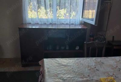 Casă cu 4 camere cu Teren 3516 Mp în Cojasca - 15