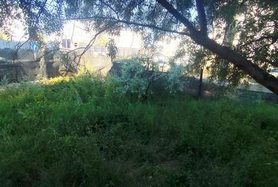 Casă individuală cu 12 camere cu Canalizare în Central - 3