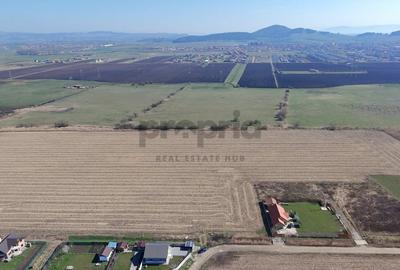 Teren agricol extravilan de 6400 mp, în Sânpetru - 5