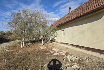 Casă cu 4 camere cu Teren 1069 Mp în Cadăr