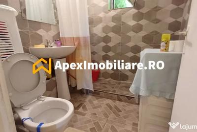 Apartament cu 2 camere semidecomandat în Rahova - 11
