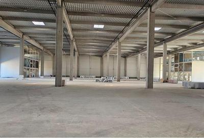 Spațiu comercial, de 300 mp, în Central - 2