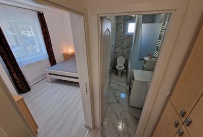 Garsonieră decomandată în Lunca Cetățuii - 5