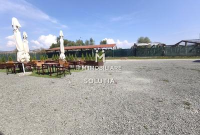 Spațiu industrial, de 3,500 mp, în Exterior Vest - 12
