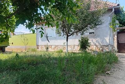 Casă cu 3 camere cu Teren 800 Mp în Central