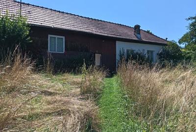 Teren Construcții intravilan de 3981 mp, în Bran