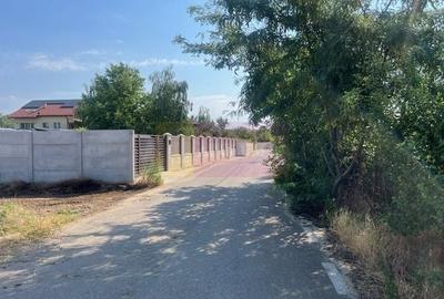 Teren Construcții intravilan de 1000 mp, în Clinceni - 3