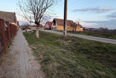 Teren Construcții intravilan de 1200 mp, în Comloșu Mare - 4