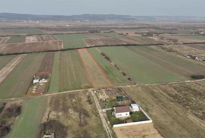 Teren Construcții intravilan de 6590 mp, în Oșorhei - 1