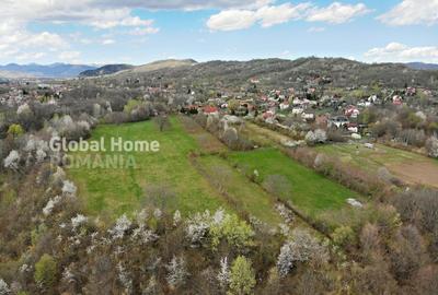 Teren Construcții intravilan de 23345 mp, în Cornu de Jos (Cornu) - 8