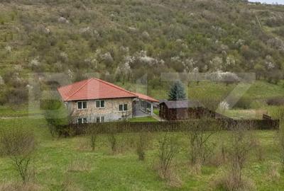 Casă cu Teren 100 Mp în Livezeni - 1