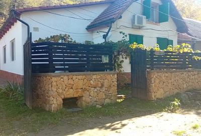 Casă cu Teren 700 Mp în Sasca Montană