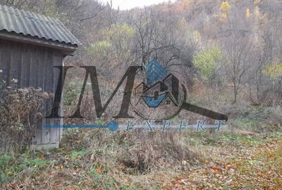 Teren extravilan de 2200 mp, în Tău Bistra - 4