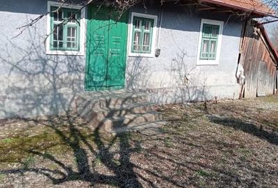 Casă cu Teren 1000 Mp în Central