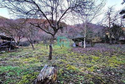 Casă individuală cu 6 camere cu Canalizare în Schei - 10