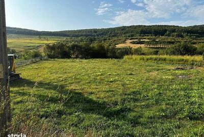 Teren de 3100 mp, în Jichișu de Jos - 2