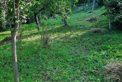 Casă cu 2 camere cu Teren 400 Mp în Nicula