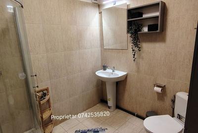Apartament cu 2 camere în Bucium - 4