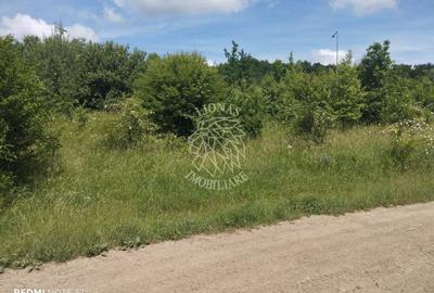 Teren Construcții extravilan de 900 mp, în Unirea - 3