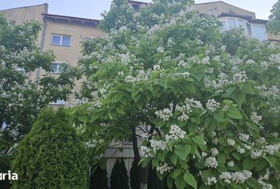 Apartament cu 4 camere decomandat în Dârste