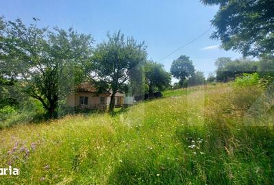 Casă cu 2 camere cu Teren 4000 Mp în Barcani - 1