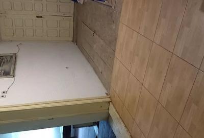 Casă cu 3 camere cu Teren 1250 Mp în Valea Stanciului - 13