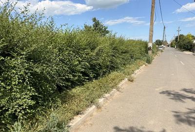 Teren de 4009 mp, în Sălcioara - 1