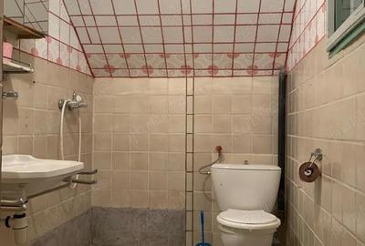Casă cu Teren 2800 Mp în Muntele Băișorii - 3