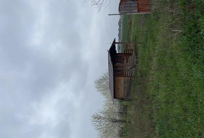 Teren de 5000 mp, în Lazuri - 4