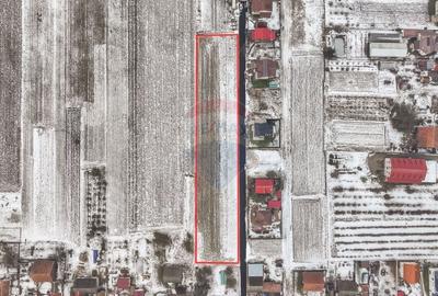 Teren intravilan de 5646 mp, în Stupini - 4