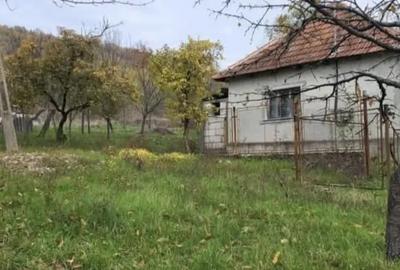 Casă cu 2 camere în Târnăvița - 6