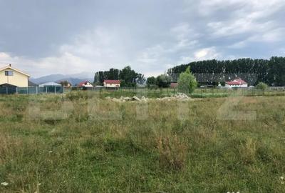 Teren de 500 mp, în Central