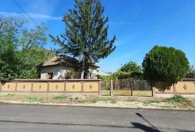Casă cu 3 camere cu Teren 2871 Mp în Giubega - 8