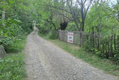 Teren în Șotrile - 3