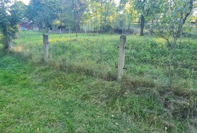 Casă cu Teren 21 Mp în Pârteștii de Jos - 1