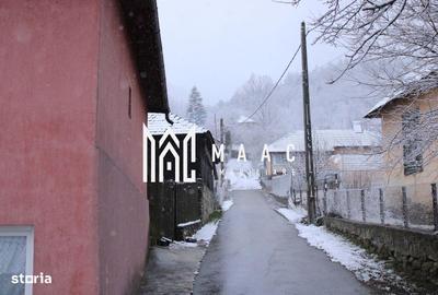 Teren de 20000 mp, în Berislăvești - 20