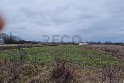 Teren de 1167 mp, în Borș - 3