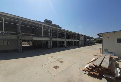 Spațiu industrial, de 1,680 mp, în Central - 5