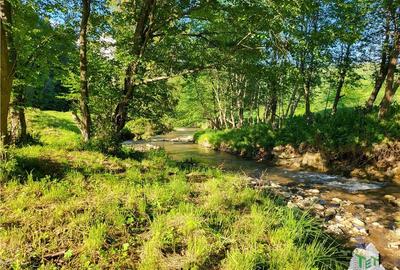 Teren Construcții intravilan de 12000 mp, în Vama Buzăului - 16