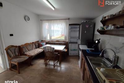 Casă cu 3 camere cu Teren 545 Mp în Lenauheim - 2