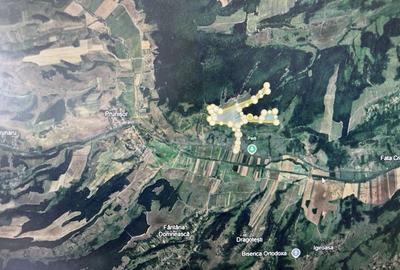 Teren de 480000 mp, în Prunișor - 6
