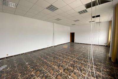 Spațiu comercial, de 3,225 mp, în Romanești - 6