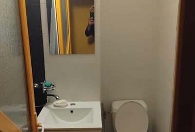 Apartament cu 2 camere semidecomandat în Craiovița Nouă - 1
