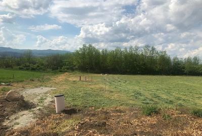 Teren de 60900 mp, în Gârbova - 1
