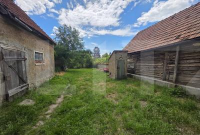 Casă cu 3 camere cu Teren 1280 Mp în Chichiș - 3