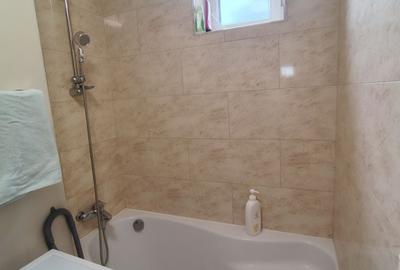 Apartament cu 2 camere semidecomandat, mobilat în Botizului